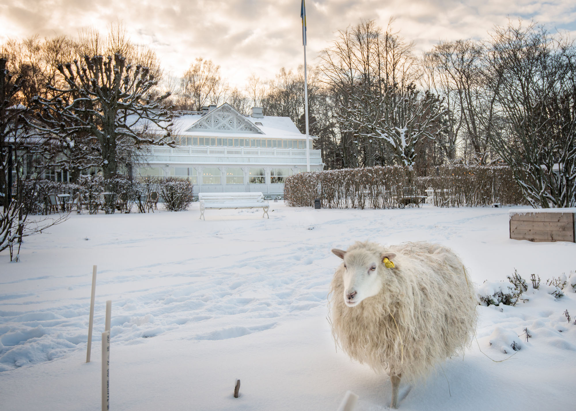 ULRIKSADAL_VINTER_0514_MEDIUM